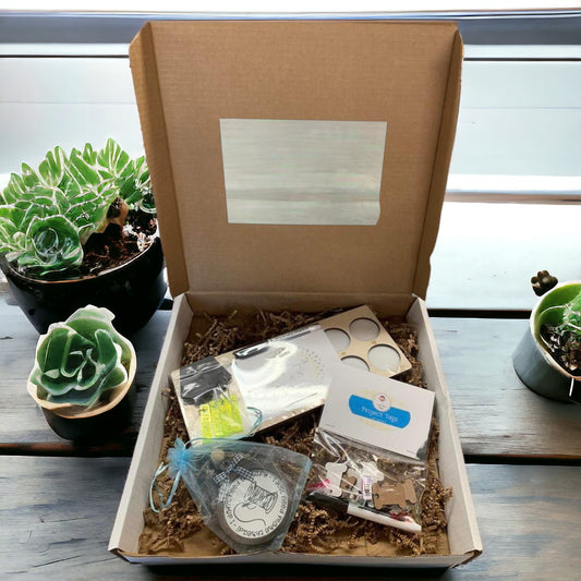 Project Gift Box | project tray | needle tool | ornament | scissor fobs | project tags